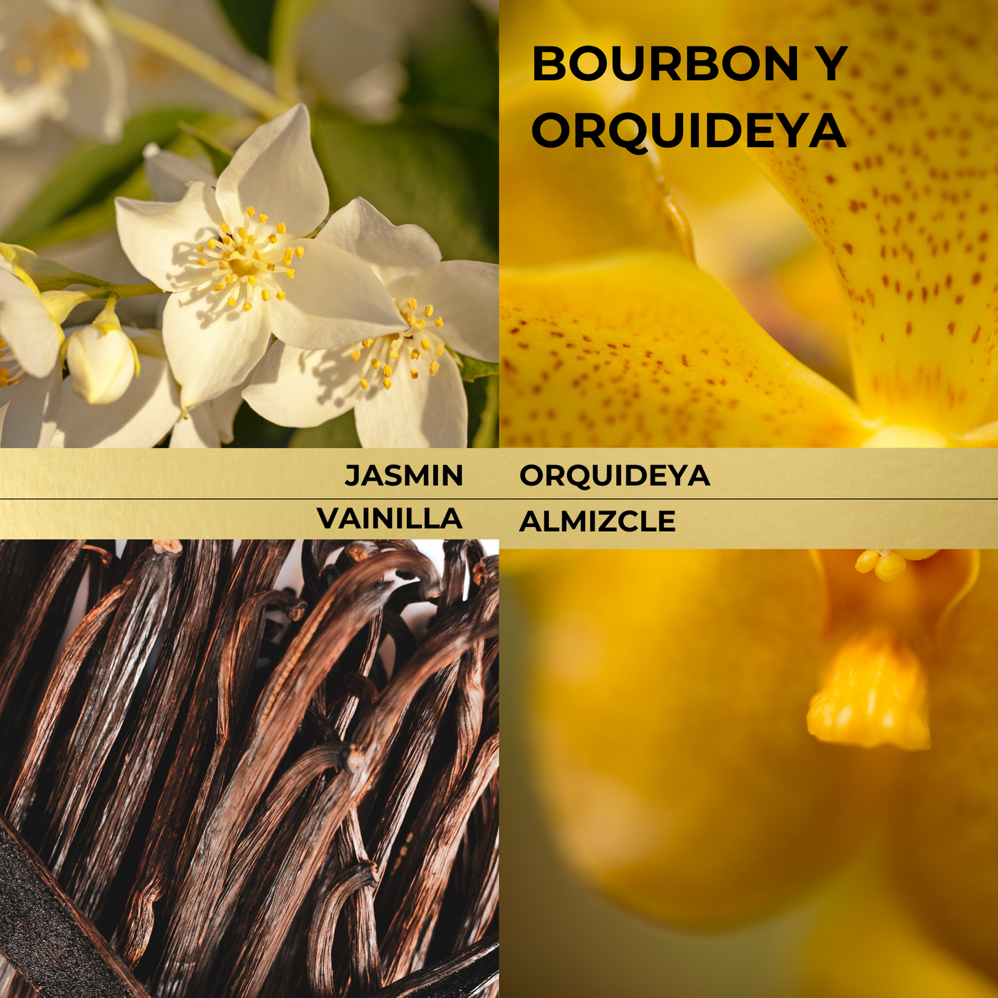 Difusor de Ambiente [Bourbon y Orquideya]  6.1 OZ