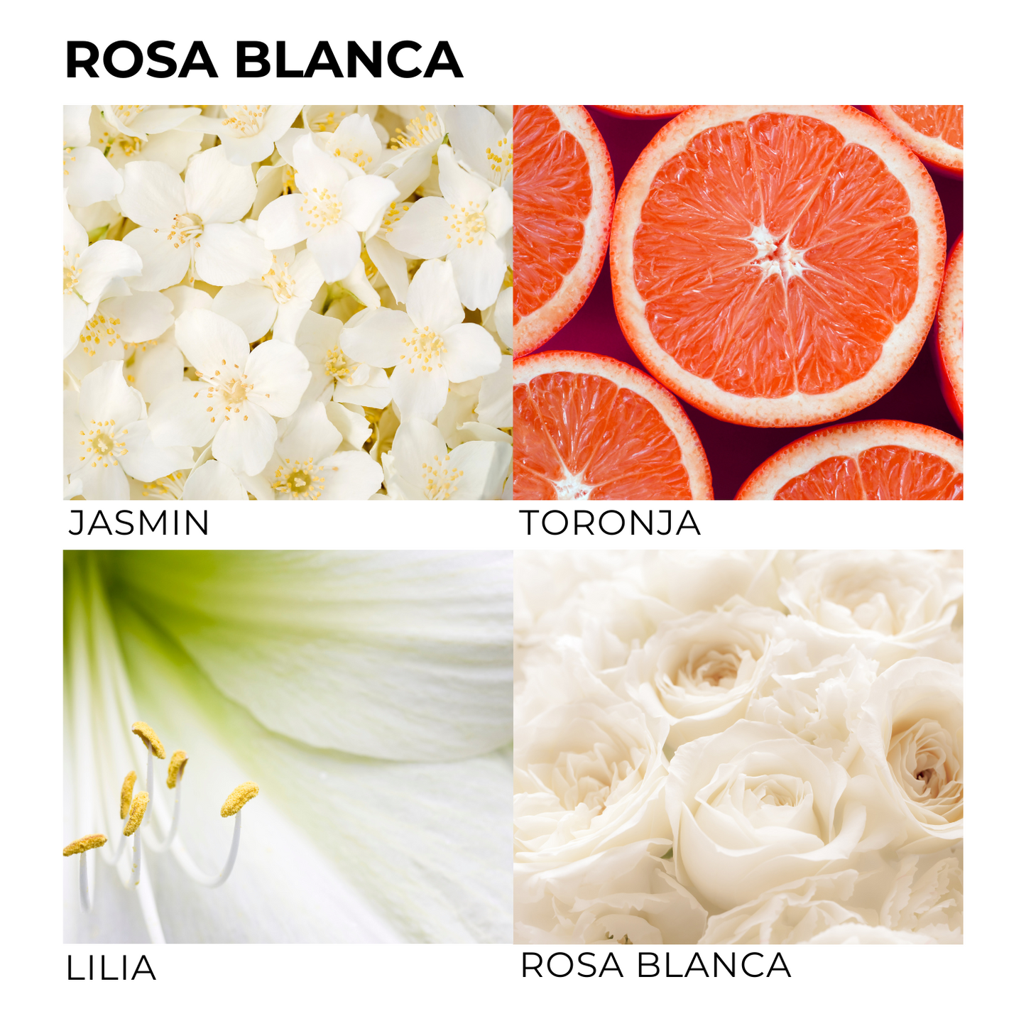 KIT de BAÑO [Rosa Blanca] 2x3.5 OZ