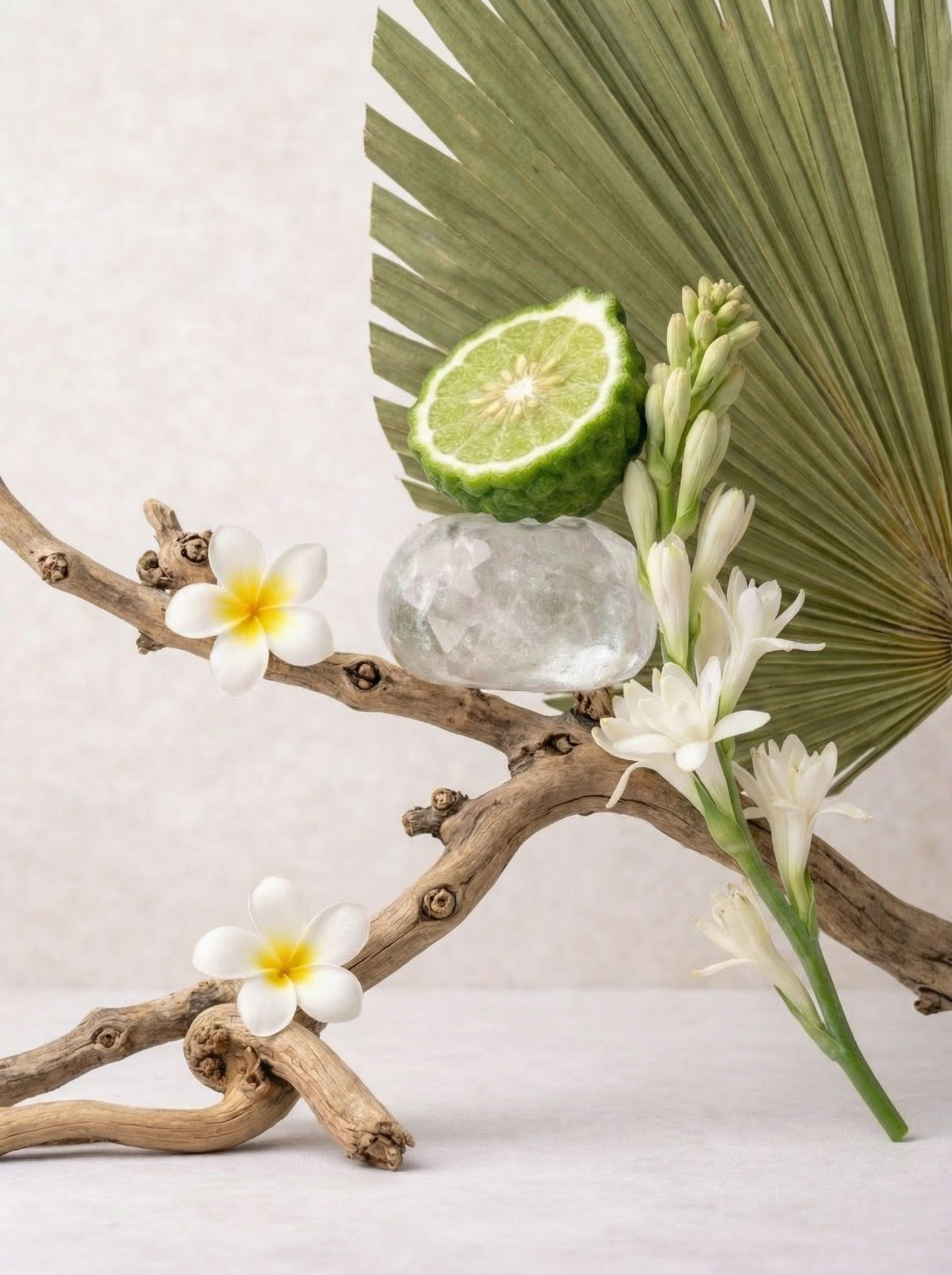 Travel Candle [Merida] 8 OZ 