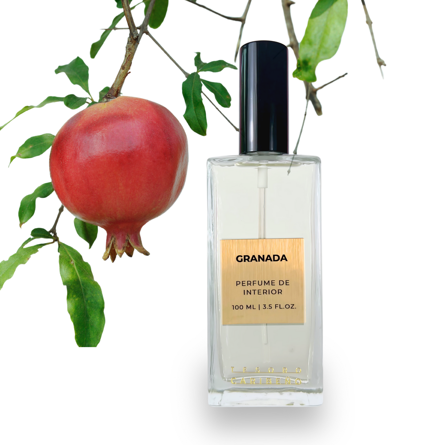 Indoor perfume [Cotton] | 8 OZ 