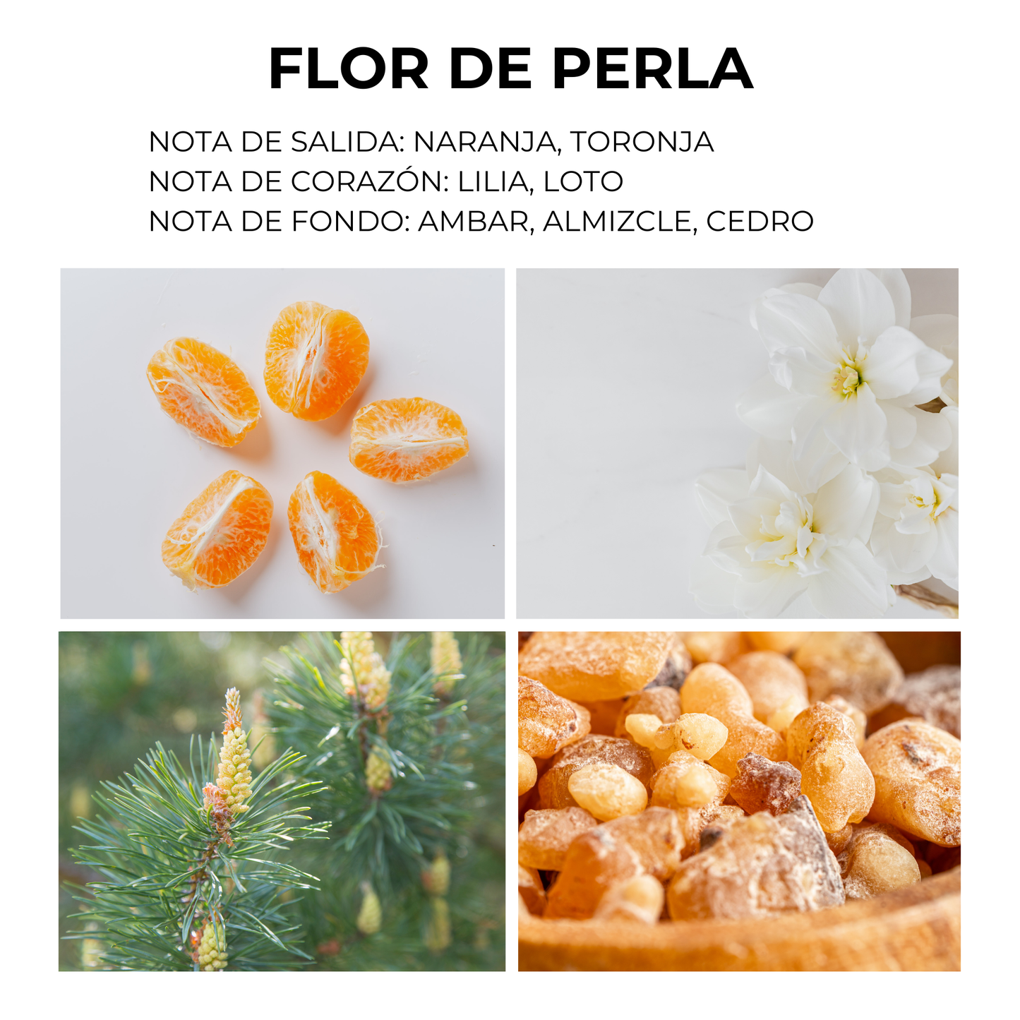 Vela Clasica [Flor de Perla] 10 OZ