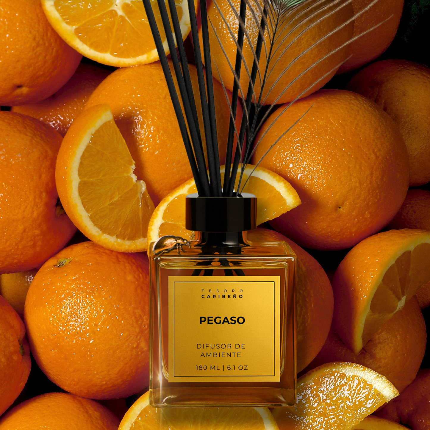 Difusor de Ambiente [Pegaso]  6.1 OZ