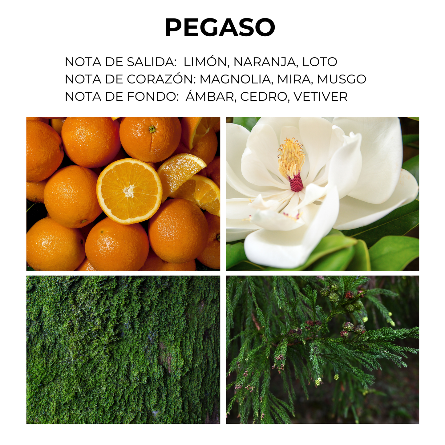 EAU D'AMBIENCE [Pegaso] | 2.7 OZ