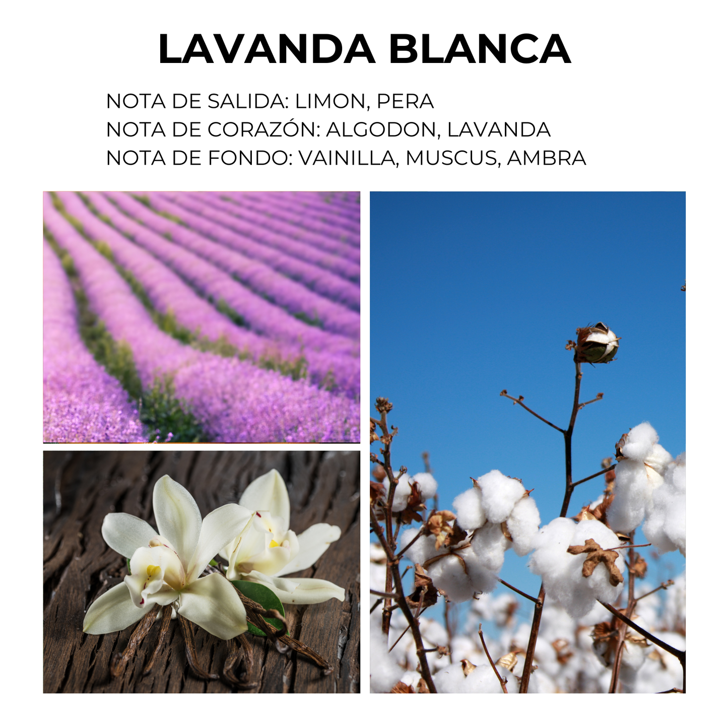 Difusor de Ambiente [Lavanda Blanca]  6.1 OZ