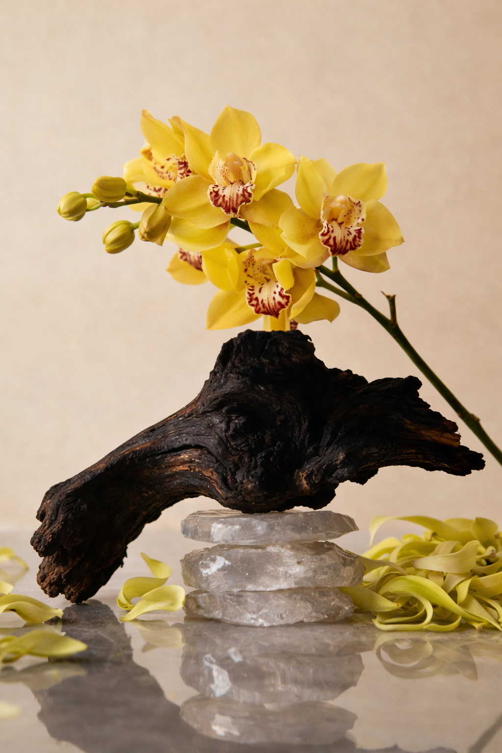 EAU D'AMBIENCE  [ORQUIDEYA YLANG YLANG] | 100 ML