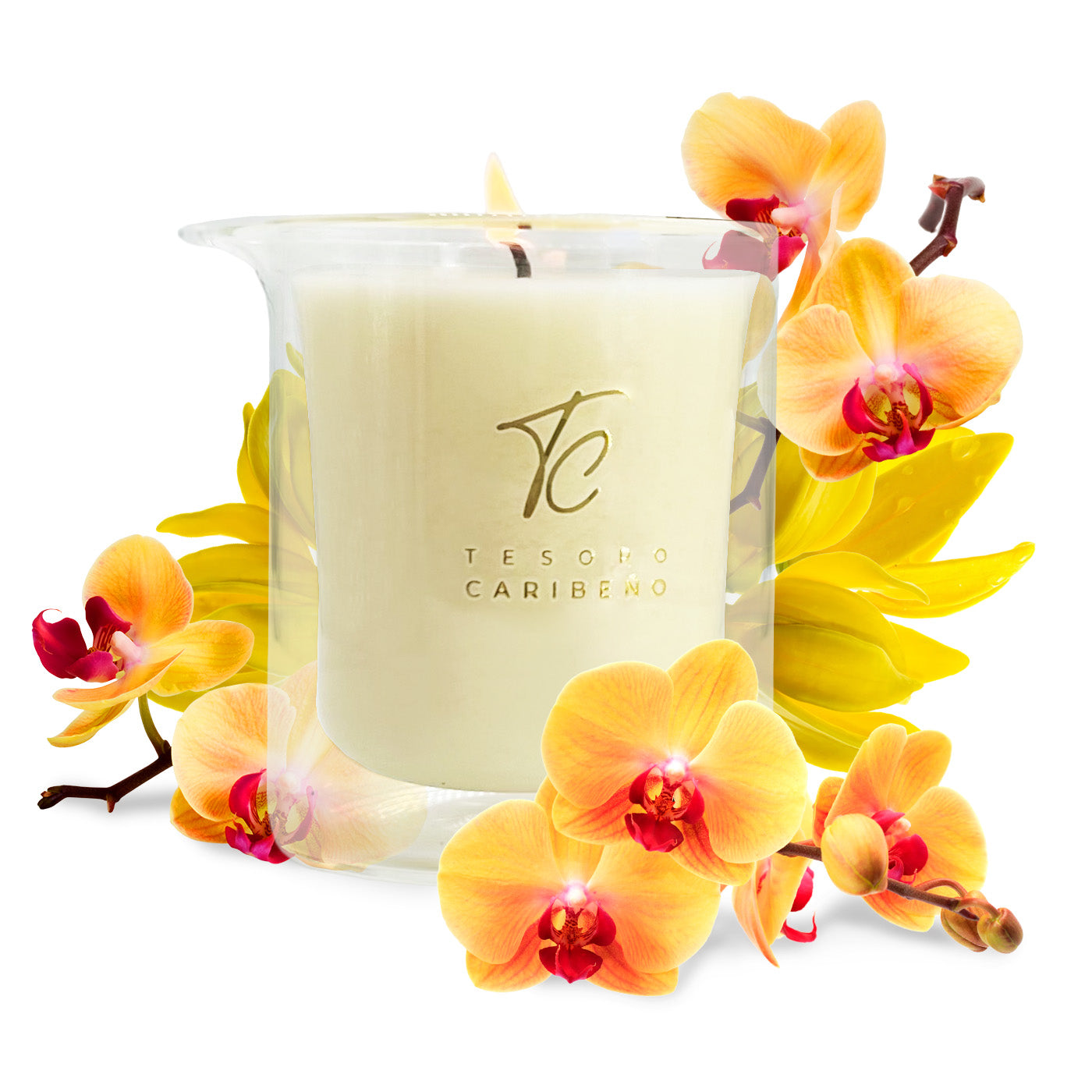 Massage Candle with Aphrodisiacs [Orchid &amp; Ylang-Ylang] 8 OZ 