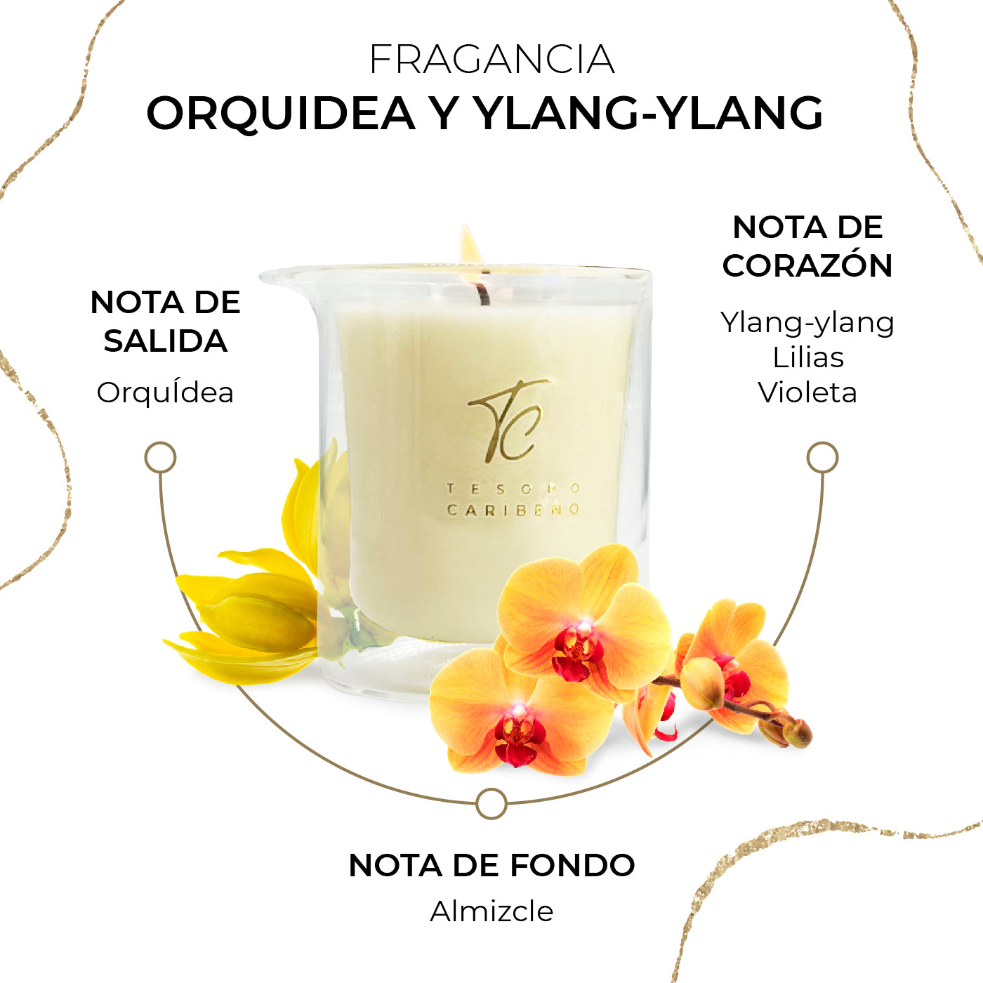 Vela de Masaje con afrodisiacos [Orquidea & Ylang-Ylang] 8 OZ