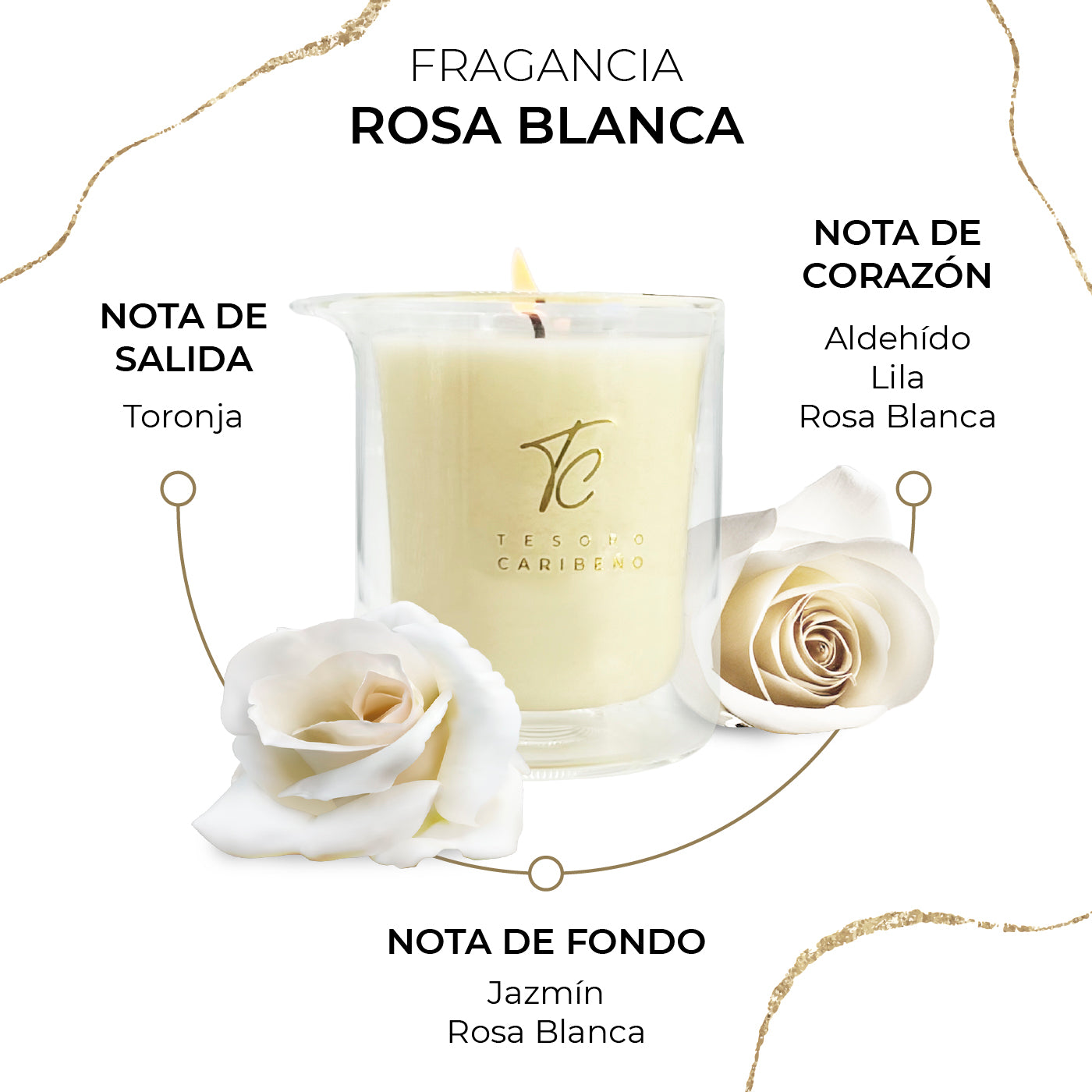 Vela de Masaje con afrodisiacos [Rosa Balnca] 8 OZ