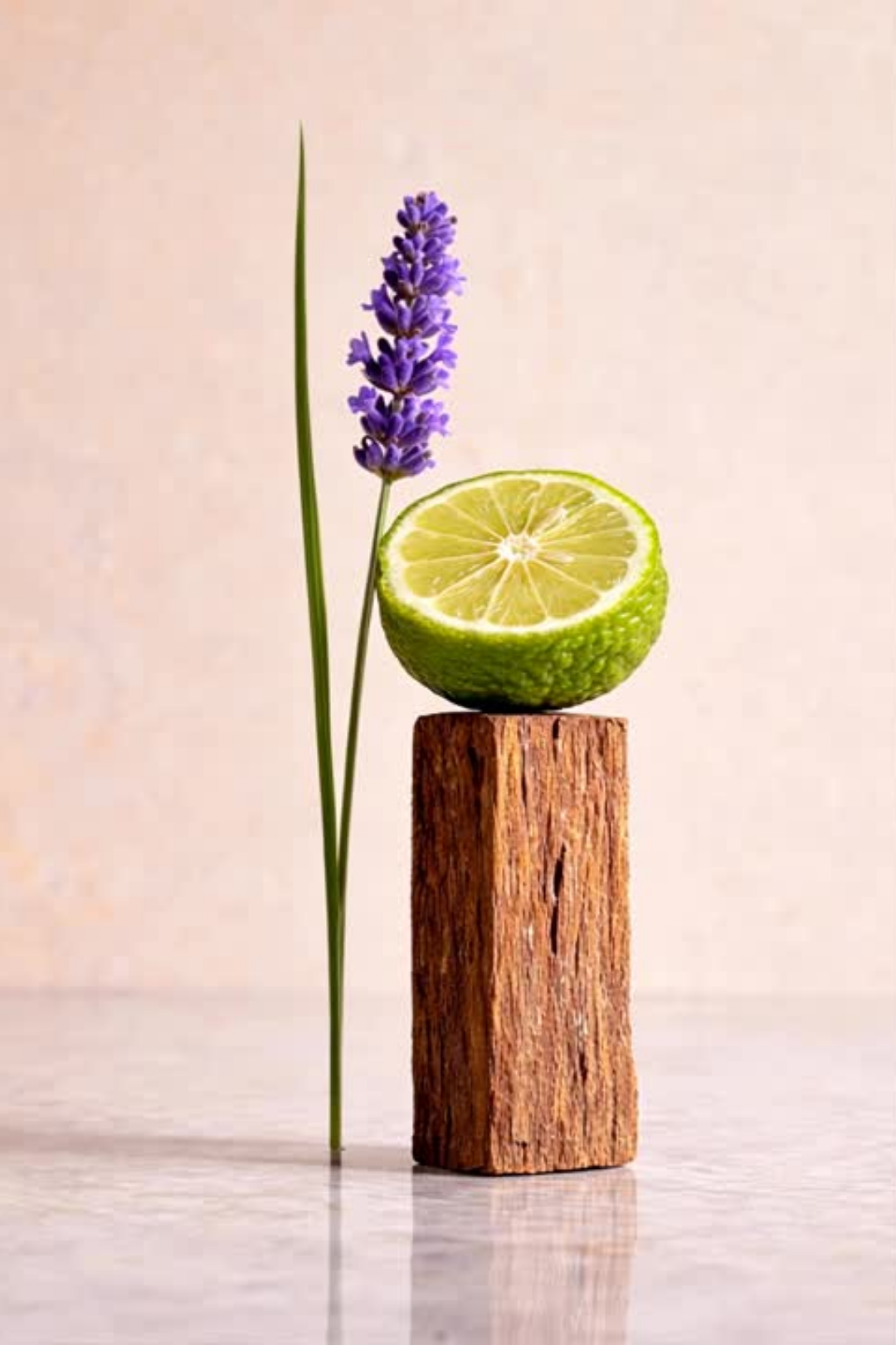 Massage Candle [Palo Santo] 6 OZ 