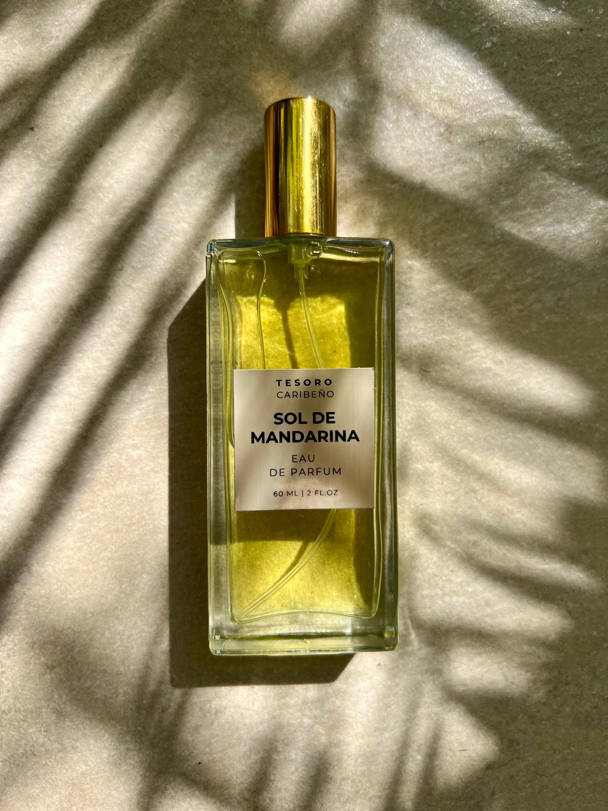 EAU D'AMBIENCE  [PALO SANTO] | 100 ML